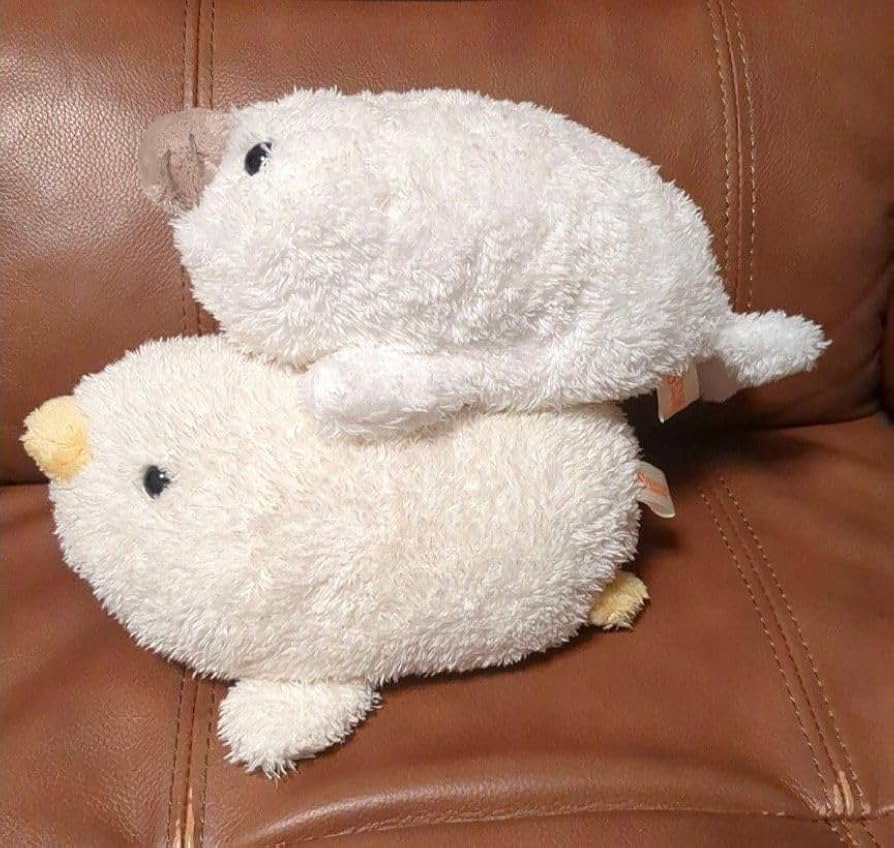 【新品】きのこのこ　ぬいぐるみ　シナダカンパニー　アトリエトヨコ きのこのこ ぬいぐるみマスコット シナダカンパニー - メルカリ